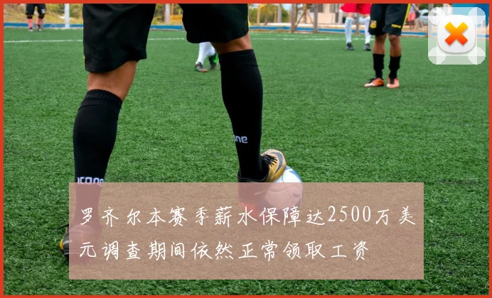 罗齐尔本赛季薪水保障达2500万美元调查期间依然正常领取工资