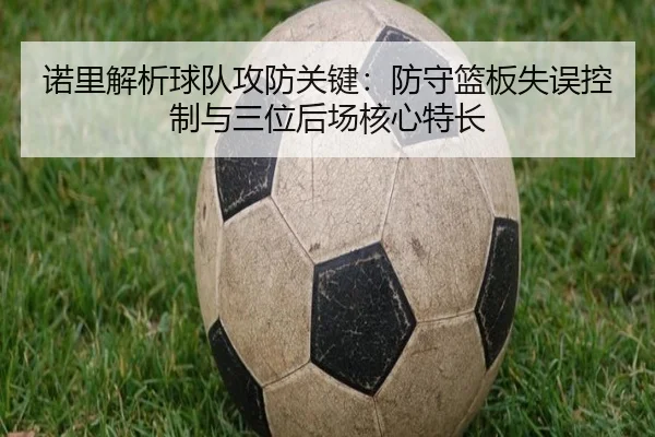 诺里解析球队攻防关键：防守篮板失误控制与三位后场核心特长 - milan